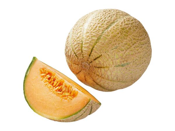 Cantaloupe Melon