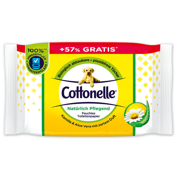 Feuchtes Toilettenpapier