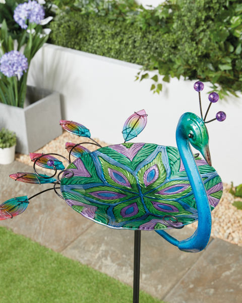 Bird Box Peacock Bird Bath