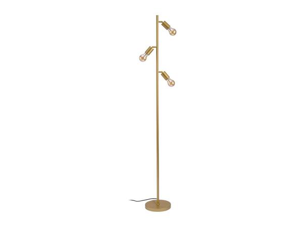 Livarno Home LED Floor Lamp With A Gold Finish