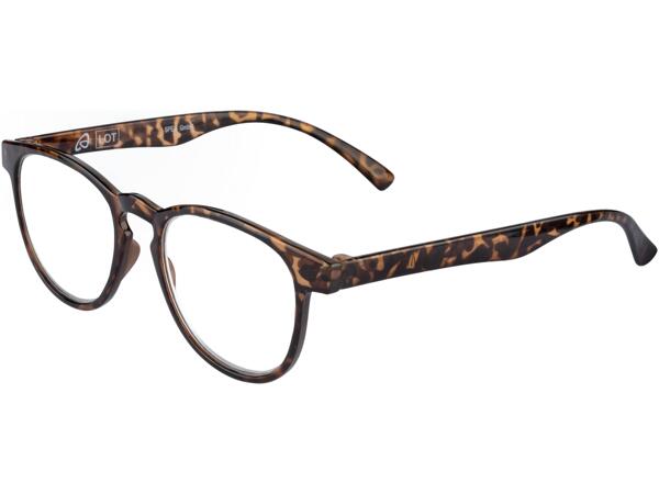 Reading Glasses