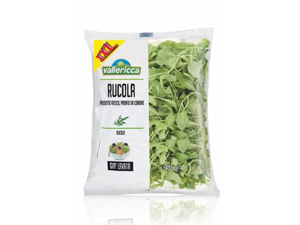 Rucola
