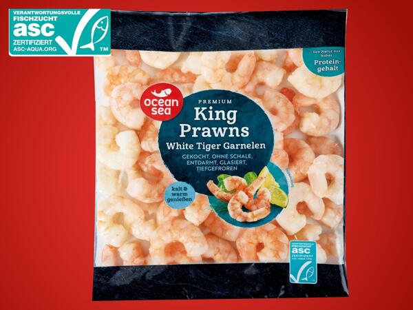 Premium White Tiger Garnelen