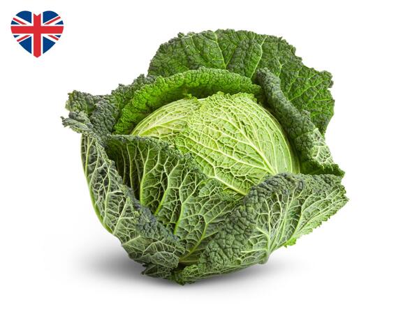 British Savoy Cabbage