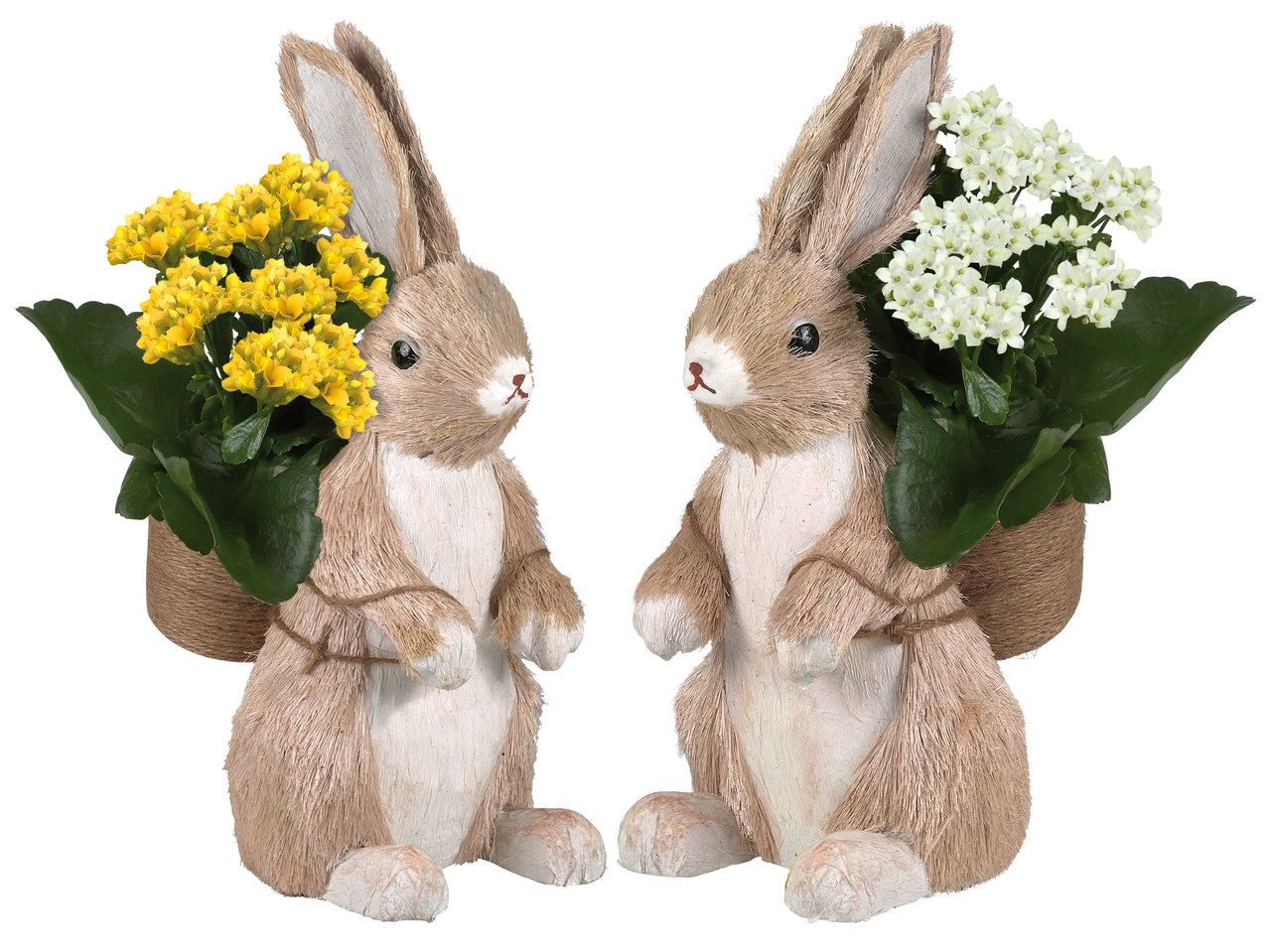 Osterhase