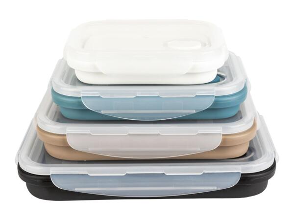 Ernesto Collapsible Rectangular Food Storage Containers - Set of 4