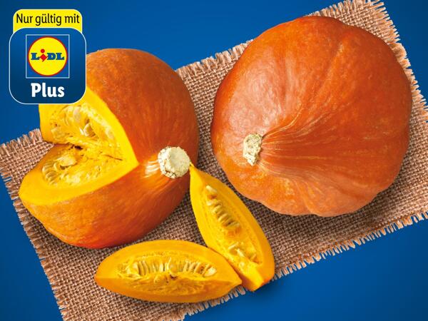 Bio Speisekürbis Hokkaido aus Österreich
