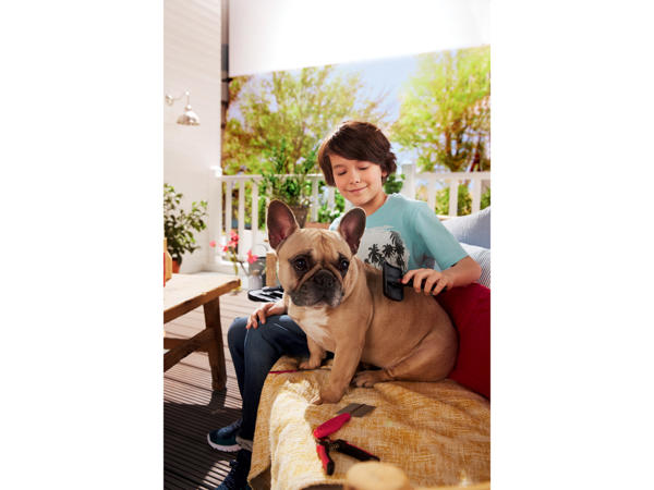 Pet Grooming Set