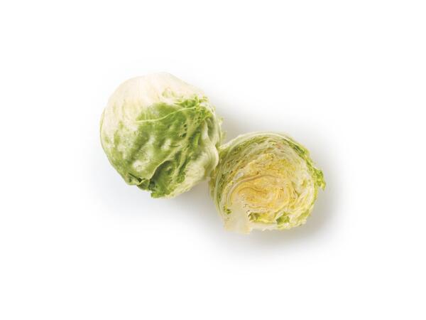 Iceberg Lettuce