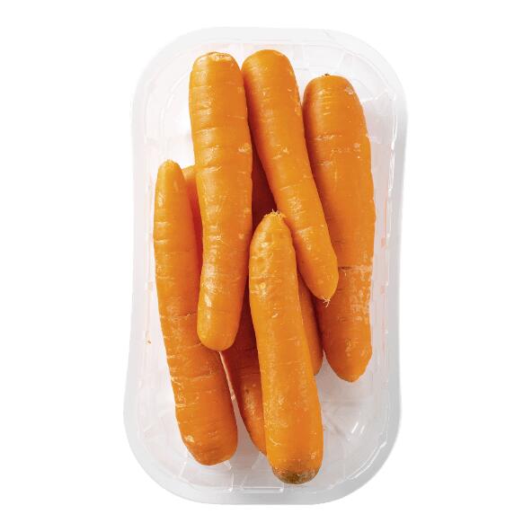 Carottes bio