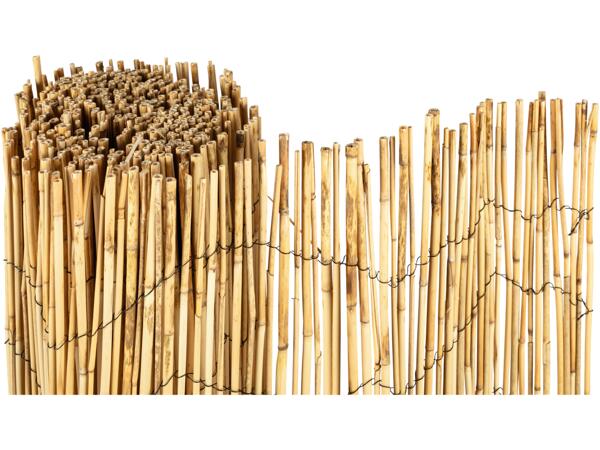 Reed Garden Screen
