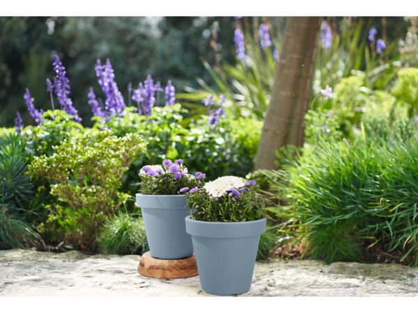 Plant Pot