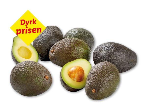 Avocado
