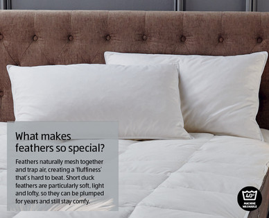 Duck Feather Pillow Pair