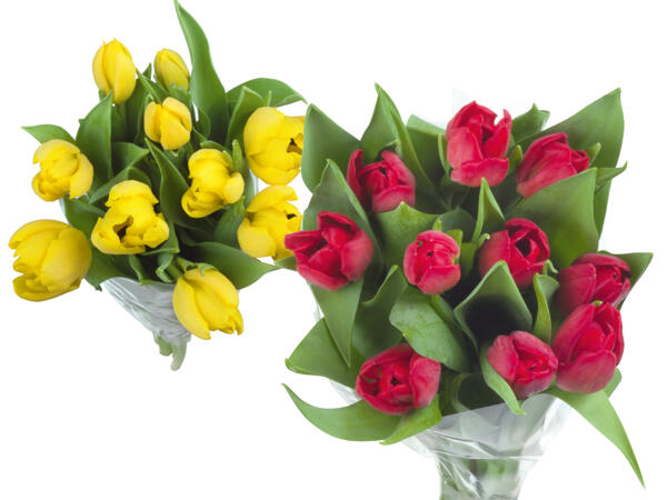 Tulpenstrauß