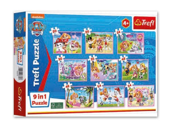 9-in-1 Puzzle