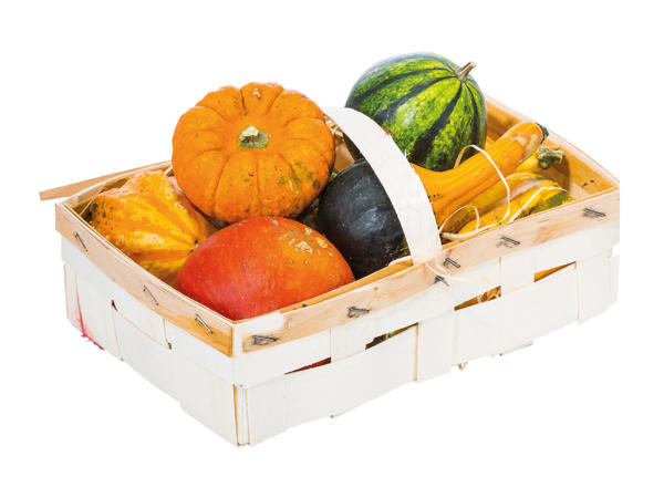 Zucche ornamentali in cassetta