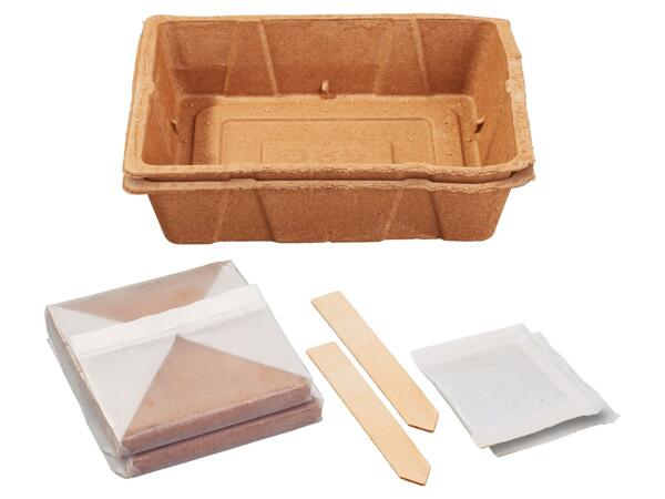 Organic propagation kit