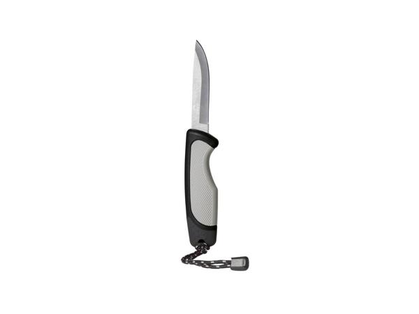 Knife or pocket knife