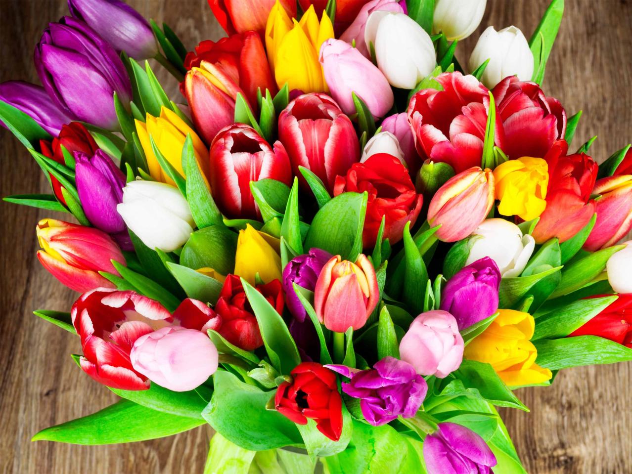 Tulipes mixtes