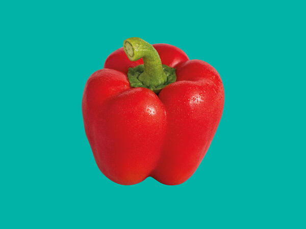 Red Pepper