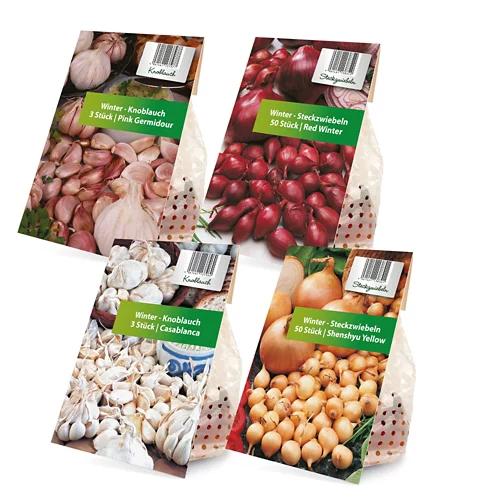 Winterzwiebel Pflanzknoblauch