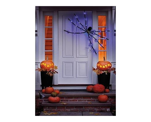 Huntington Home 5' Spider