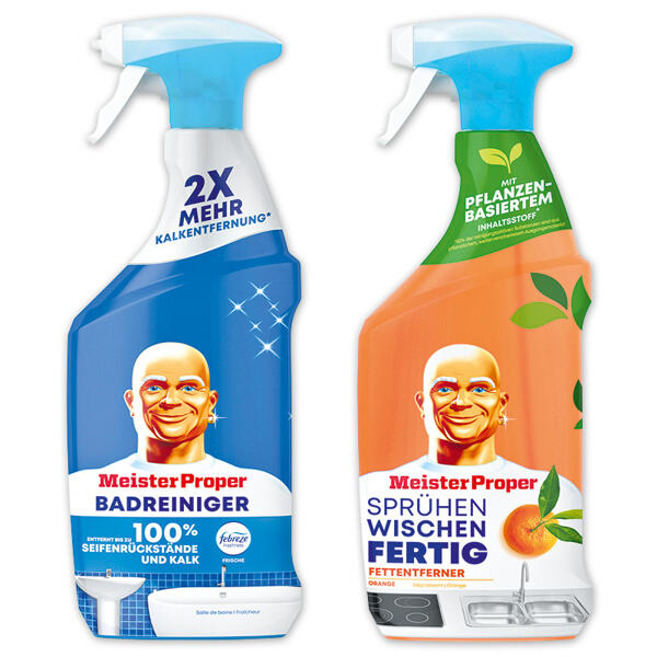 Reiniger