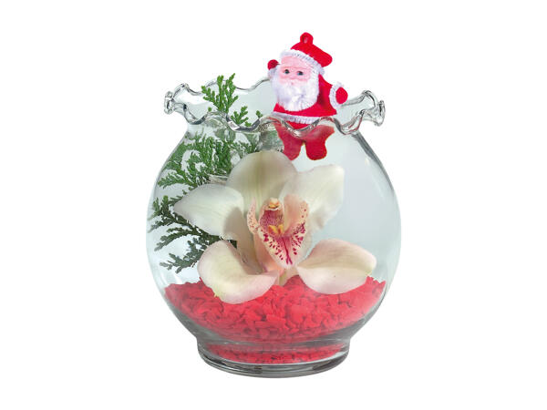 Orchid in a Glass Vase