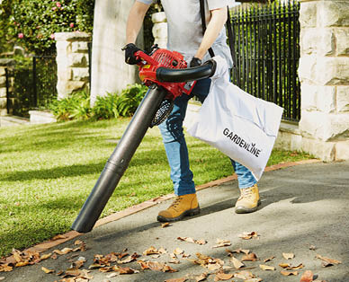 4-Stroke Blower Vac