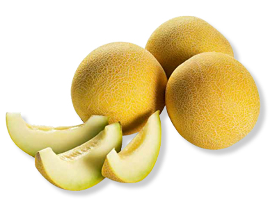 Melon Galia