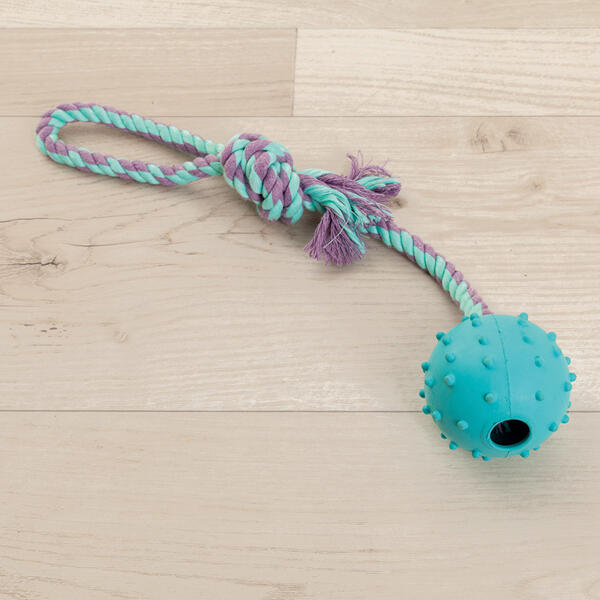 Hundespielzeug Gummiball