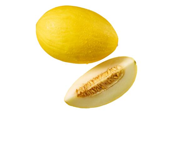 Honey Melon