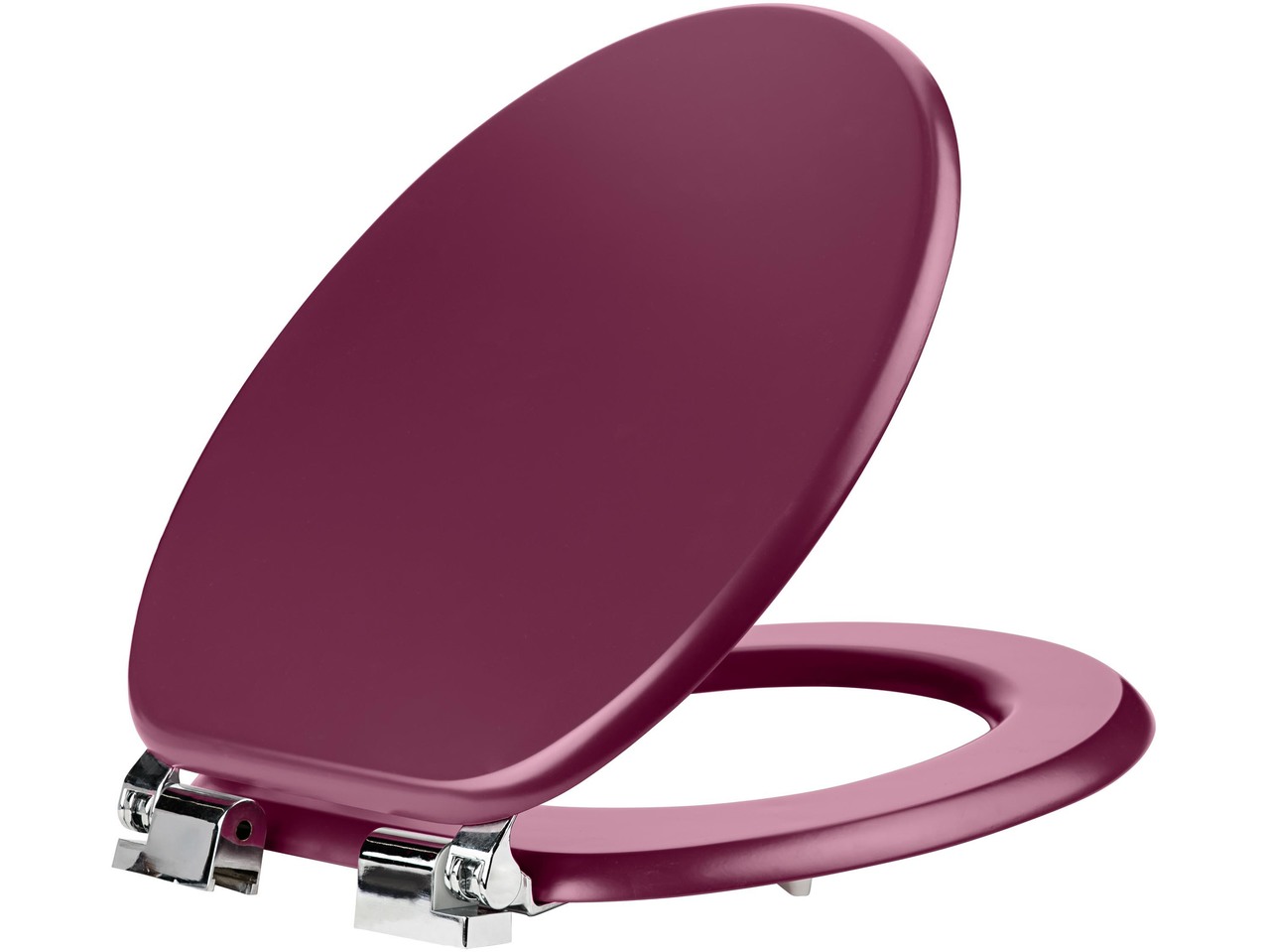 Toilet Seat