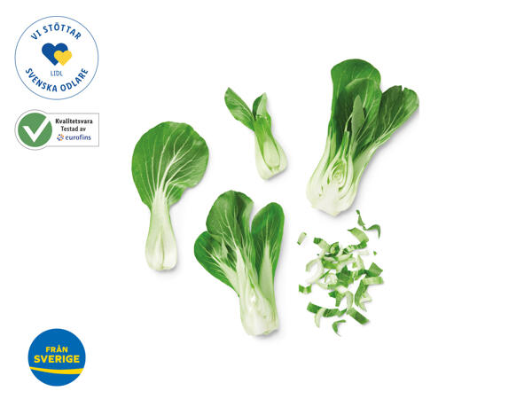 Pak choi