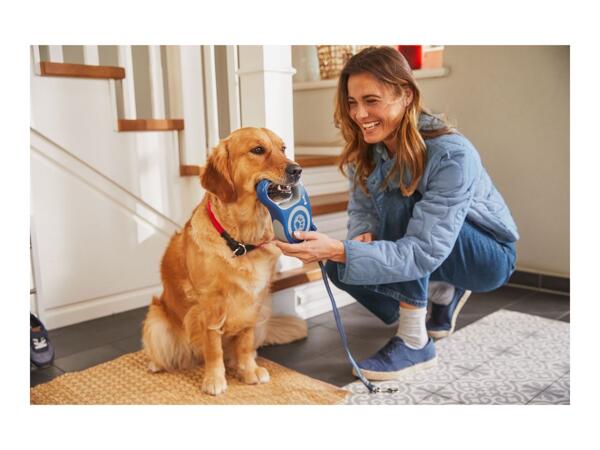 Zoofari Retractable Dog Lead - Extra Small/Small