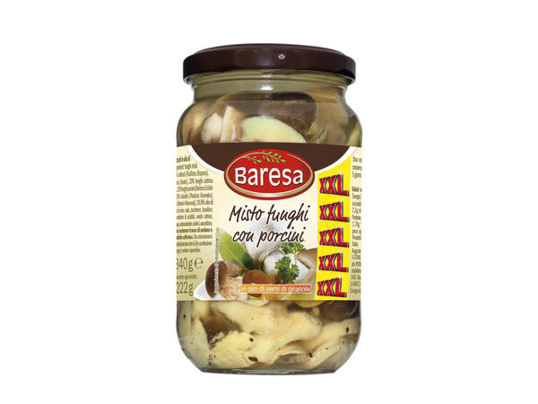 Mushroom Selection with Porcini Mushrooms in Sunflower Seed Oil