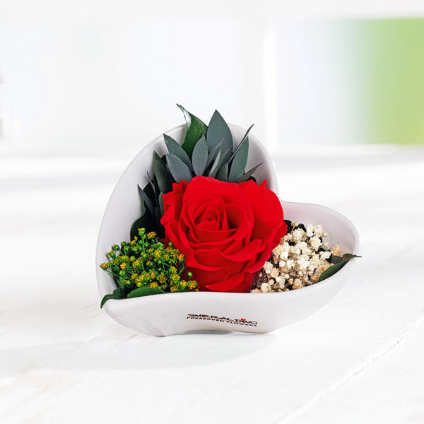 Longlife Rosen