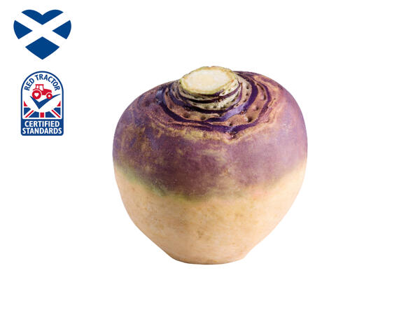 Scottish Swede