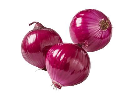 Oignons rouges suisses bio