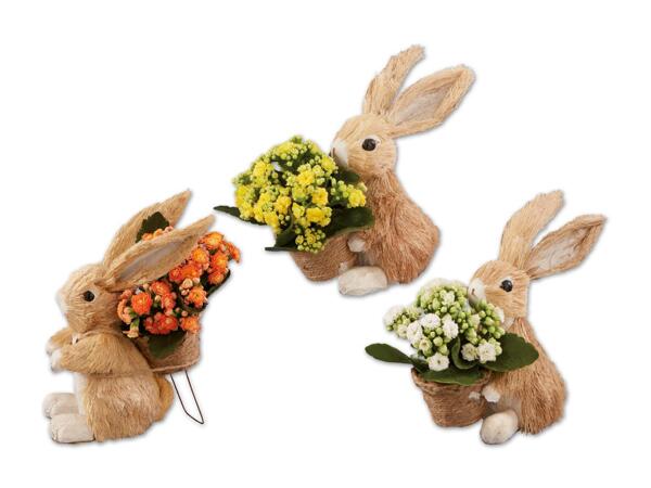 Osterhase mit Kalanchoe