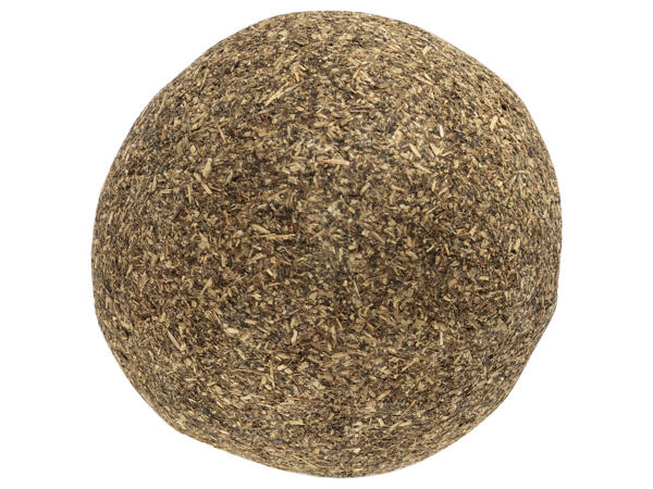 Cat Toy