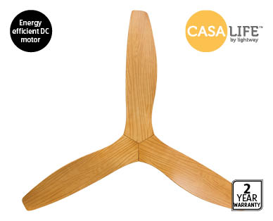 Ceiling Fan