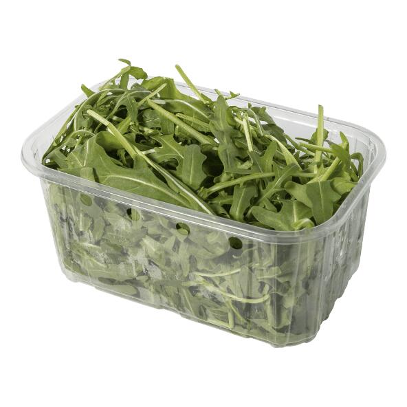 Roquette