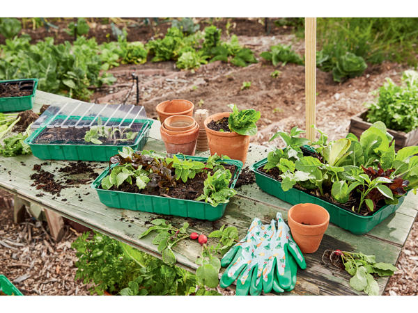 Propagator Set