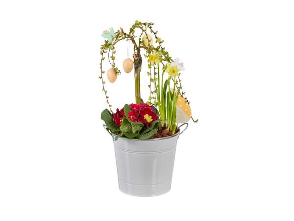 Påskesammenplantning