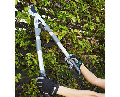 Telescopic Hedge Shears, Anvil Lopper or Bypass Lopper