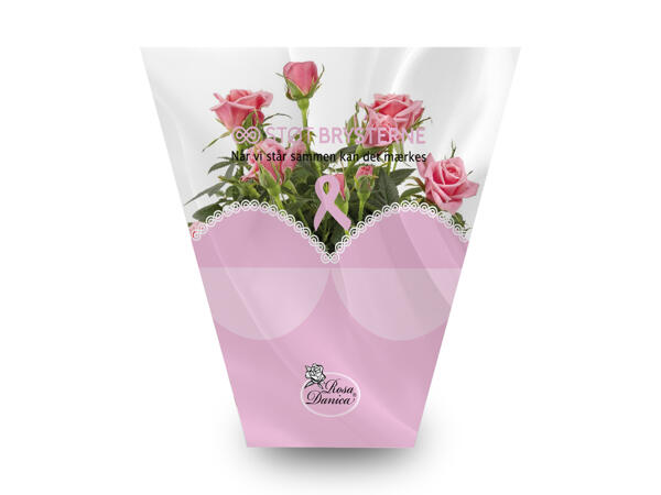 "Støt brysterne" mini rose