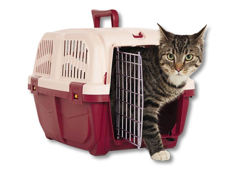 Panier de transport