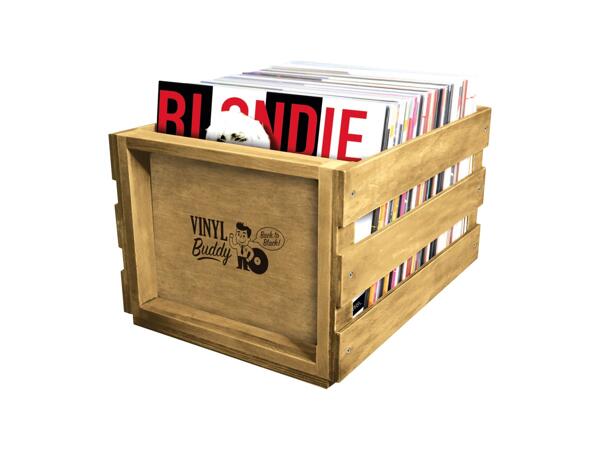 Vinyl Storage Case